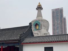 -西塔