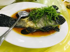 -双月饭店·20年老字号(新村店)