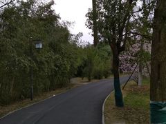 -合肥三国新城遗址公园