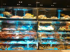 水产区-彩福皇宴(皇室堡店)