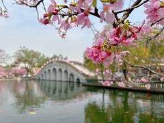 -宝墨园景区