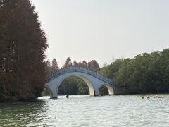 -上海海湾国家森林公园