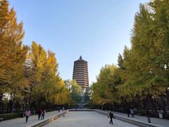 -玲珑塔公园