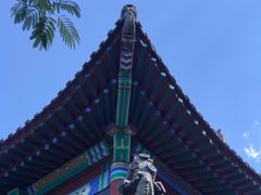 -杨柳青庄园