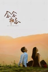点击看大图 -金夫人婚纱摄影(西昌店)