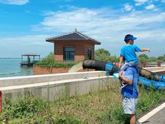 -合肥滨湖国家森林公园