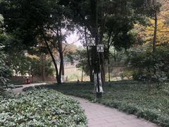 -成都市活水公园