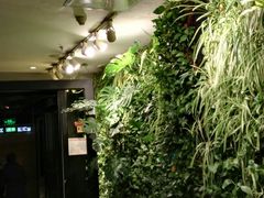 门面-绿茶餐厅(华联万柳店)