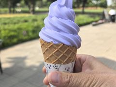 -富田农场