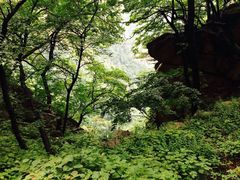 -尧山风景区