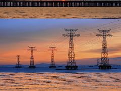 -宝安西湾红树林湿地公园