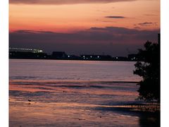 -宝安西湾红树林湿地公园