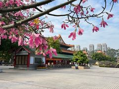 -广东圆玄道观