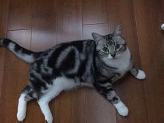 -JOJO实景沉浸侦探剧本杀(大悦城店)