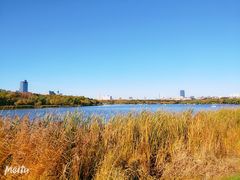 -长春市南湖公园