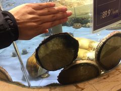 -旺顺阁海鲜广场(亚运村店)