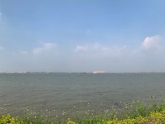 -海鸥岛