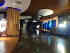 -万达影城IMAX(海口日月广场店)