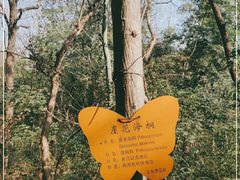 -玉女潭景区
