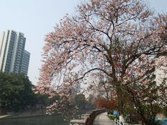 -成都市活水公园