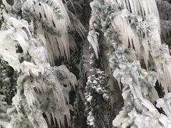-金城公园