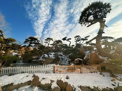 -罗红摄影艺术馆