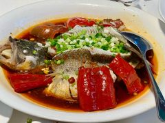 红运鲈鱼-文杏酒楼(一品天下店)