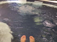 -鸿泰洋美食水会(东门中店)