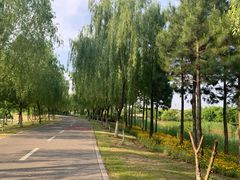 -尚贤河湿地