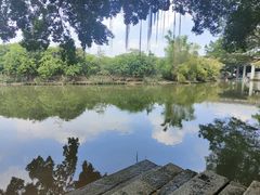-小洲村