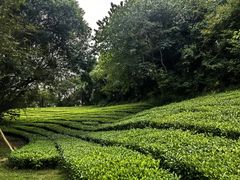 -敬亭山风景名胜区