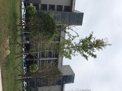 -河南牧业经济学院(龙子湖校区)