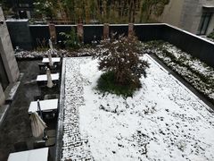 -上海崇明金茂凯悦酒店