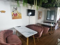 -Husky Go! 哈士奇体验馆·宠物咖啡厅狗咖