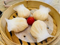 -茶港·点心·啫啫煲(范湖万达广场店)