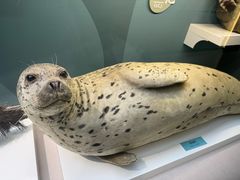 -国家自然博物馆