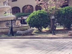-静园(和平区)