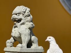 -杭州上天竺法喜讲寺
