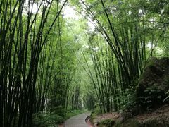 -四洞沟景区
