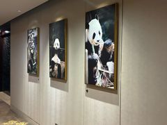 -成都保利公园皇冠假日酒店(熊猫基地店)