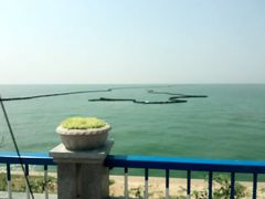 -合肥滨湖国家森林公园