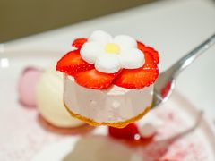 -哈根达斯(深圳海岸城店)