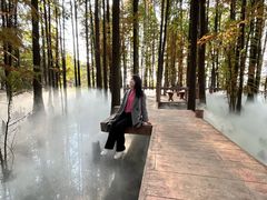 -东湖落雁景区
