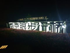 -南京眼步行桥