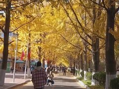 -辽东学院(南校区)