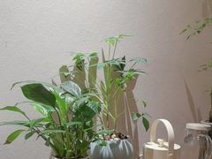 -隆德堂青瓷艺术·茶馆(故宫店)