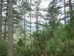 android_upload_pic-白马仙洞