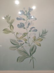 -颜蕾医美·黄金微针·水光·玻尿酸·超声炮·抗衰中心