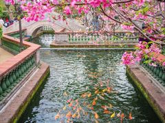 -宝墨园景区