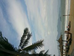 -芽庄喜来登水疗酒店